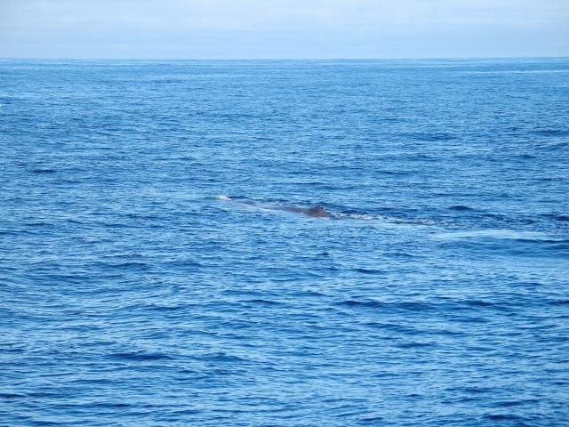 Urlaub in Norwegen 2006